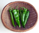 ���莛�Ƃ����炵